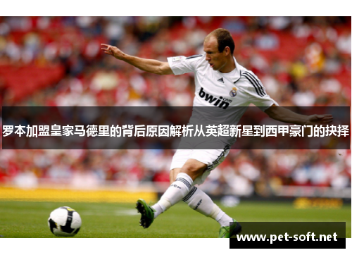 罗本加盟皇家马德里的背后原因解析从英超新星到西甲豪门的抉择 罗本加盟皇家马德里的背后原因解析从英超新星到西甲豪门的抉择