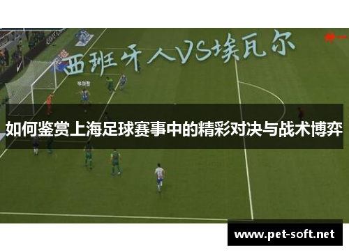 如何鉴赏上海足球赛事中的精彩对决与战术博弈